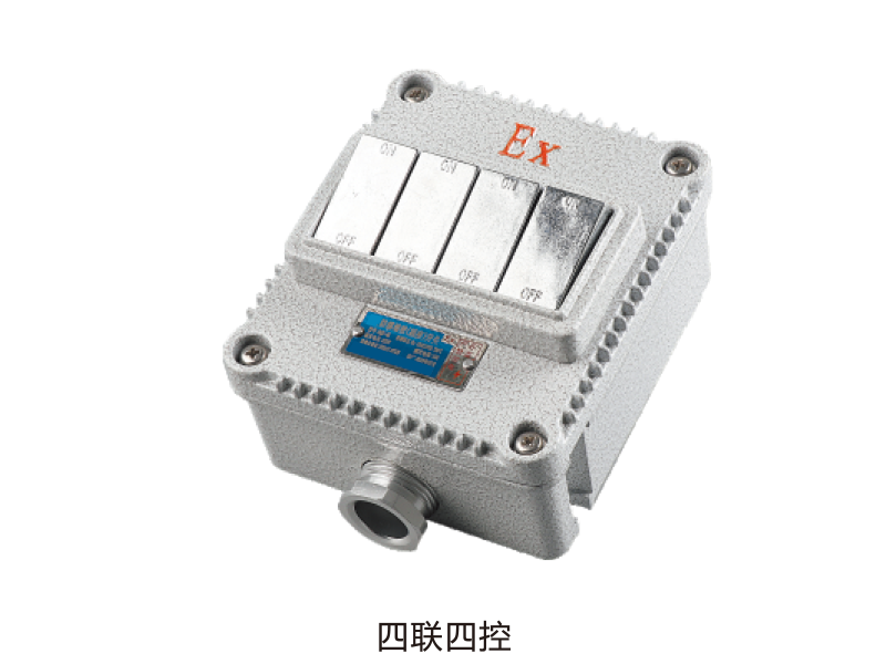 sw-II 系列防爆(墙壁)照明开关(ExtD)